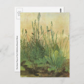 アルブレッ素晴らしチ・デュラーの大きなターフ ポストカード (正面/裏面)