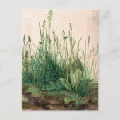 アルブレッ素晴らしチ・デューラーによるターフのピース シーズンポストカード (正面)