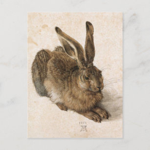 アルブレヒトデュラージュンガー長谷（若野ウサギ）, 1502 ポストカード