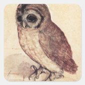 アルブレヒト小さなフクロウのシール スクエアシール (正面)
