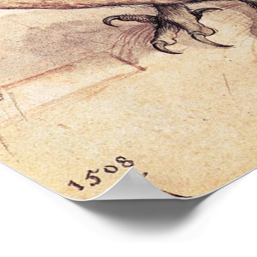 アルブレヒト小さなフクロウのポスター ポスター (角)