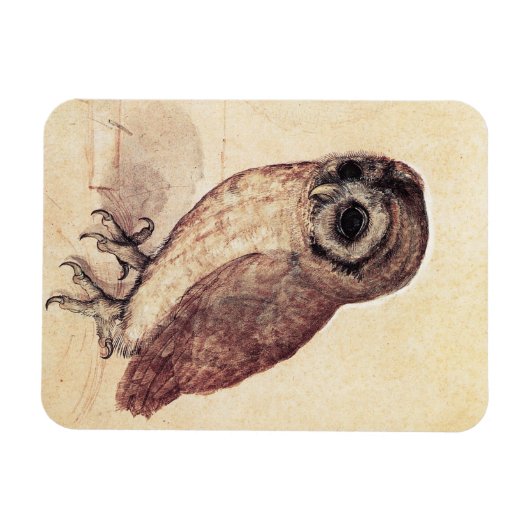 アルブレヒト小さなフクロウの磁石 マグネット (横)