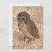 アルブレヒト・ダラーの後の小さなフクロウと無限の点 シーズンカード (正面)