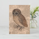 アルブレヒト・ダラーの後の小さなフクロウと無限の点 シーズンカード (スタンド正面)