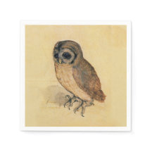 アルブレヒト・ダラー・ザ・リトルフクロウ