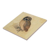 アルブレヒト・ダラー・ザ・リトルフクロウ タイル (側面)