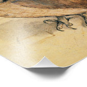 アルブレヒト・ダラー・ザ・リトルフクロウ フォトプリント (角)