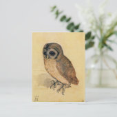 アルブレヒト・ダラー・ザ・リトルフクロウ ポストカード (スタンド正面)