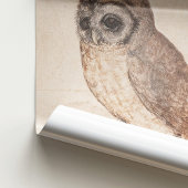 アルブレヒト・ダラー・ザ・リトル・フクロウ・アート ポスター