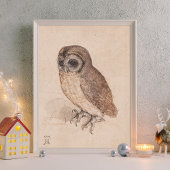 アルブレヒト・ダラー・ザ・リトル・フクロウ・アート ポスター