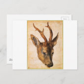 アルブレヒト・デュラーによるシカの首 ポストカード (正面/裏面)