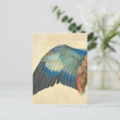 アルブレヒト・デュラーによるブルーローラーの翼 ポストカード (スタンド正面)