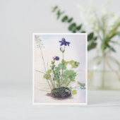 アルブレヒト・デュラーのアクレジアバルガリス花 ポストカード (スタンド正面)