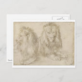アルブレヒト・デュラーの座りライオン二頭 ポストカード (正面/裏面)