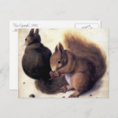 アルブレヒト・デュラーの「二つのリス」 ポストカード (正面/裏面)