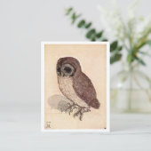 アルブレヒト・デュラー「リトル・フクロウ」 ポストカード (スタンド正面)