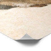 アルブレヒト・デュラー – Junger Hase (Young Hare), 1502 ポスター (角)