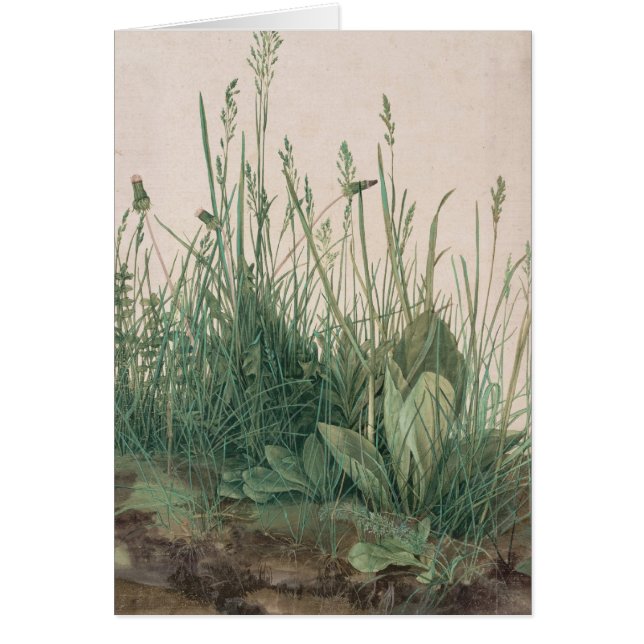 アルブレヒト・デューラー・スケッチ (正面)