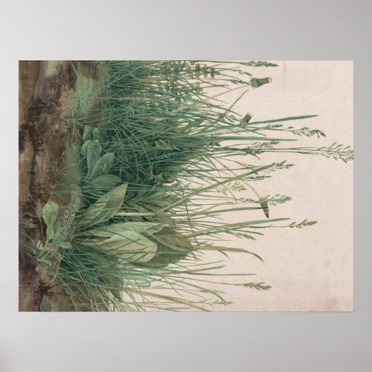 アルブレヒト・デューラー・スケッチ ポスター (正面)