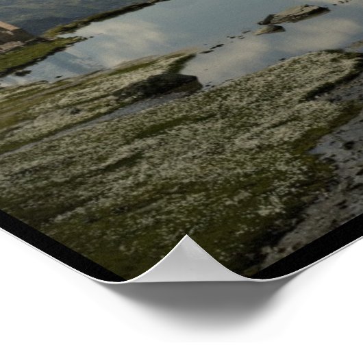 アルブレヒト ポスター (角)