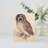 アルブレヒトDurerコキンメフクロウの郵便はがき ポストカード (スタンド正面)