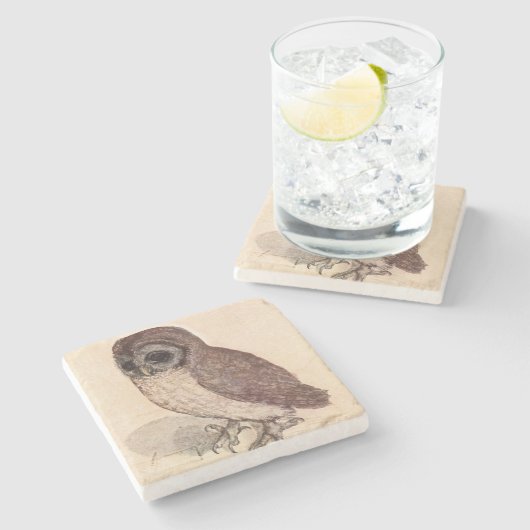 アルブレヒトDürerスクエアによるコキンメフクロウ ストーンコースター (横)