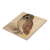 アルブレヒトDurer著コキンメフクロウ タイル (側面)