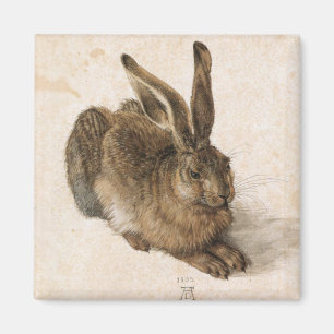アルブレヒトDürer - Junger Hase (若いノウサギ)、1502年 マグネット
