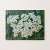 アルプの真珠の花が咲くパズル、11" x 14"、252ピース ジグソーパズル (横)