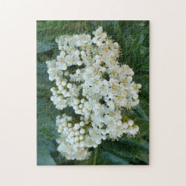 アルプの真珠の花が咲くパズル、11" x 14"、252ピース ジグソーパズル