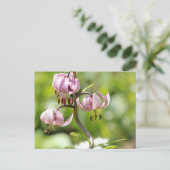 アルプスのマルタゴンかタークのキャップリー ポストカード (スタンド正面)