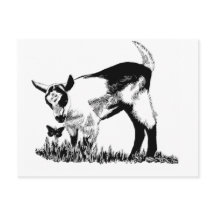 アルプスの子ども