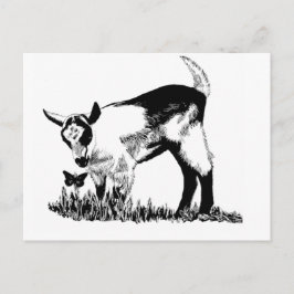 アルプスの子ども ポストカード