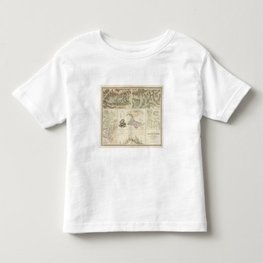 アルプスの氷河システム トドラーTシャツ (正面)