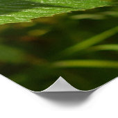 アルプスの野生のラズベリー – 緑と赤の写真 ポスター (角)