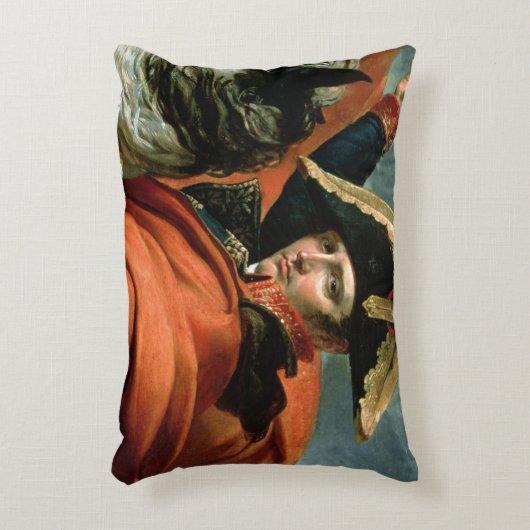 アルプスを交差させているナポレオン アクセントクッション (正面(垂直))