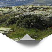 アルプスフランスのシャモニー ポスター (角)