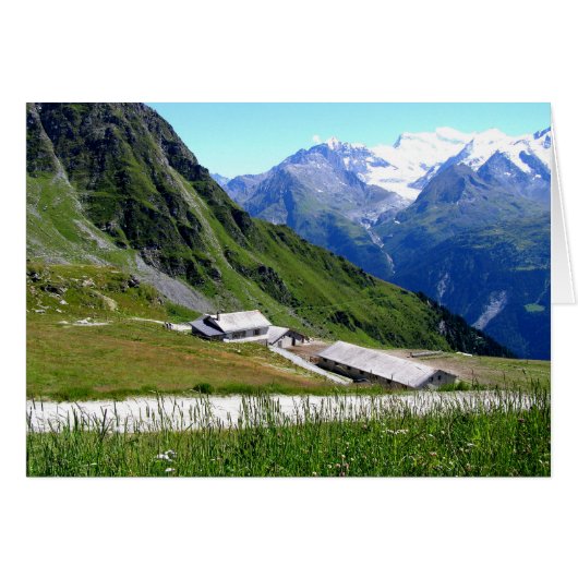 アルプス (正面横)