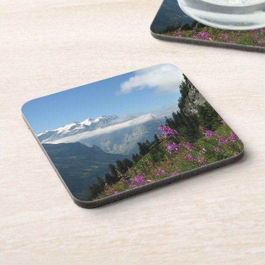 アルプス – スイス コースター (左側)