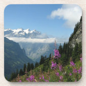 アルプス – スイス コースター (正面)