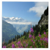 アルプス – スイス タイル (正面)