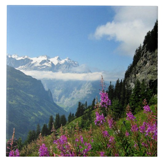 アルプス – スイス タイル (正面)