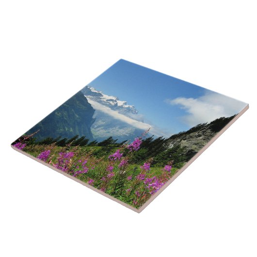 アルプス – スイス タイル (側面)