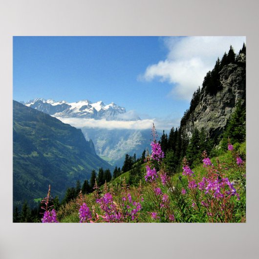 アルプス – スイス ポスター (正面)