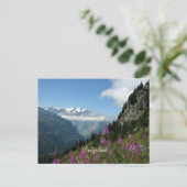 アルプス – スイス ポストカード (スタンド正面)