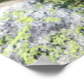 アルプフランスのス ポスター (角)