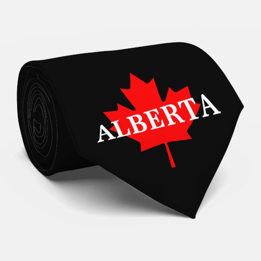 アルベルタ ネクタイ (ロール)