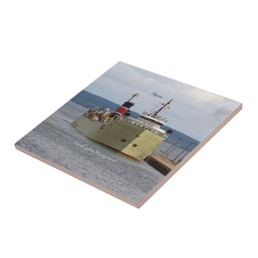 アルペナスタイル タイル (側面)