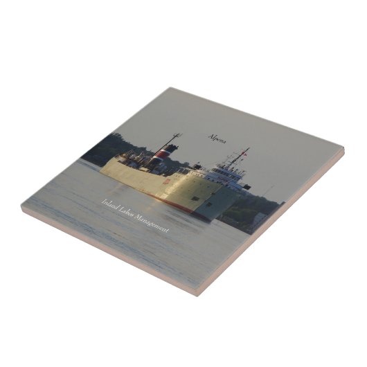 アルペナタイル タイル (側面)