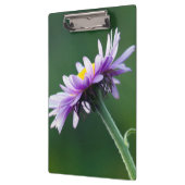 アルペンデイジー クリップボード (左)